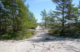 11B&ouml;daSand010Ak.jpg