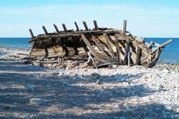 11Trollskogen022Ak.jpg