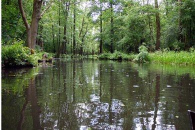 20090608SpreewaldPaddeln005Abk
