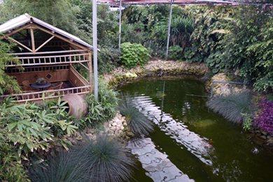 20100624Emsflower039Ab