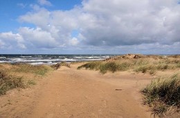 2Melbystrand011Ak.jpg