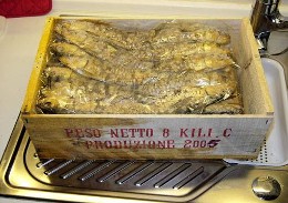 Pilchard014Ak.jpg