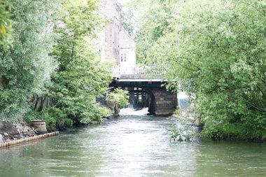 Ribe002Ak