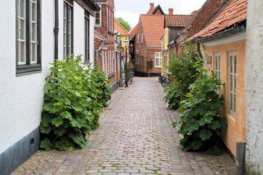 Ribe027Abk