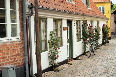 Ribe028Abk