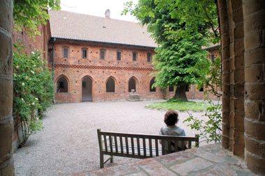 Ribe040Abk